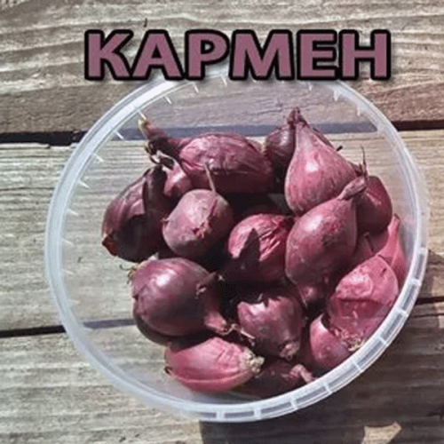 РузАгро - Лук севок Кармен МС